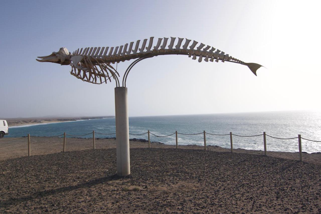 The Volcano'S Land, Perfect For Relaxing Getaway La Oliva Exterior foto